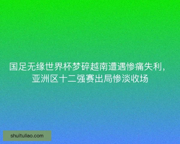 国足无缘世界杯梦碎越南遭遇惨痛失利，亚洲区十二强赛出局惨淡收场