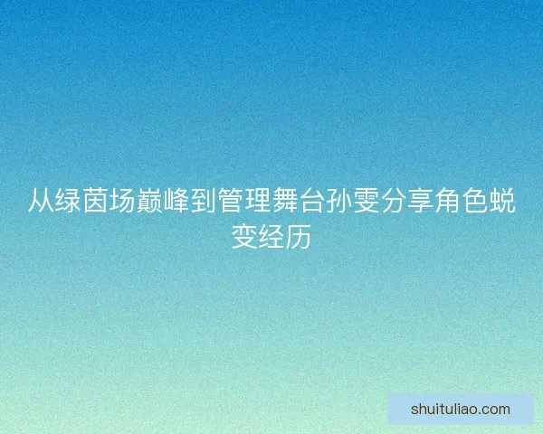 从绿茵场巅峰到管理舞台孙雯分享角色蜕变经历